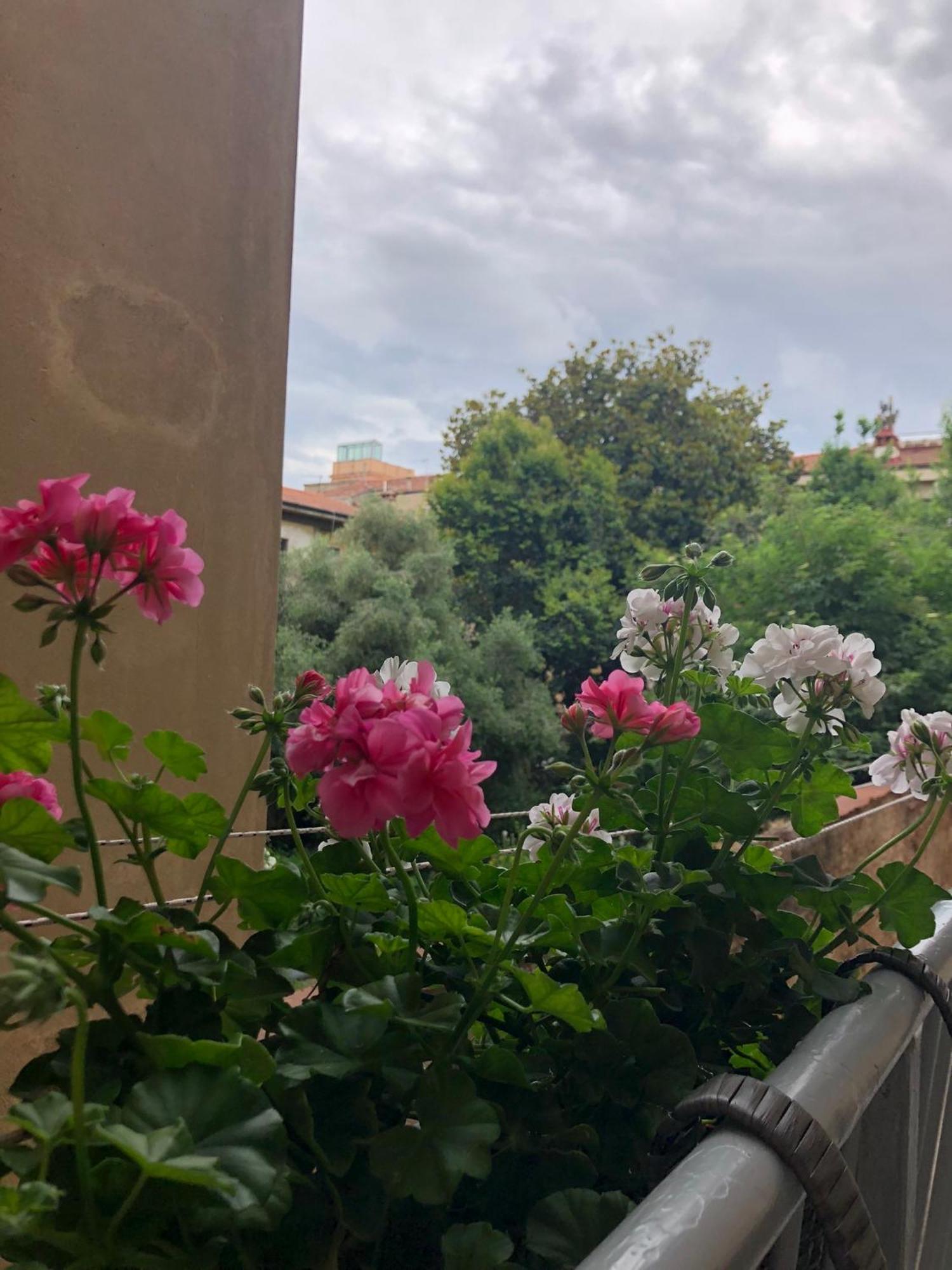 Sonnino House Apartment Пиза Екстериор снимка