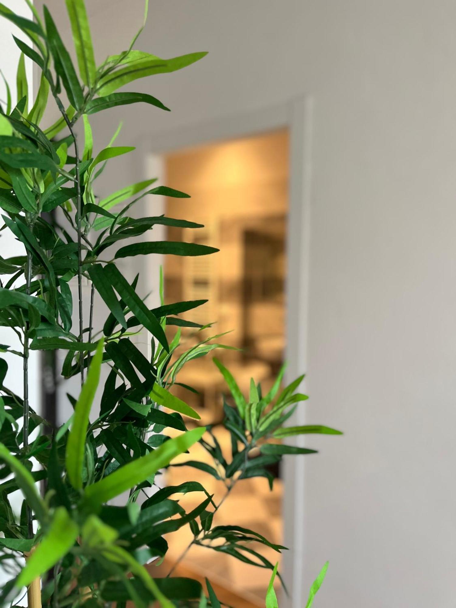 Sonnino House Apartment Пиза Екстериор снимка